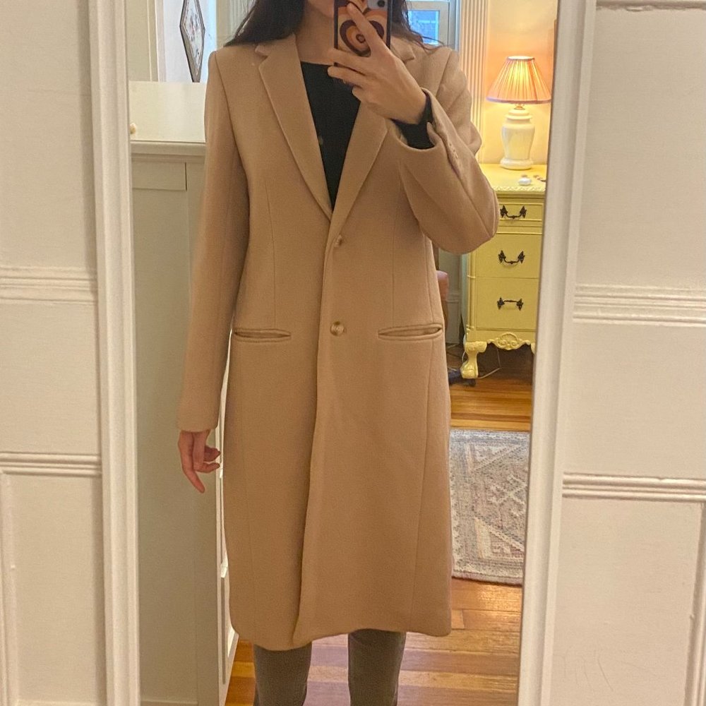 Aritzia BABATON Joshua Wool Coat Pink